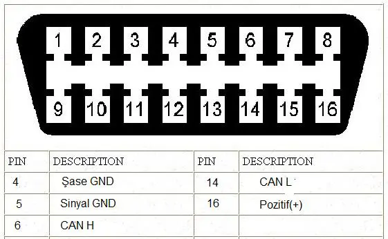 ford-euro6-adblue-adim-adim-cozum-asamalari-6
